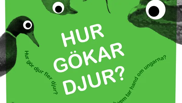 Hur gökar djur?